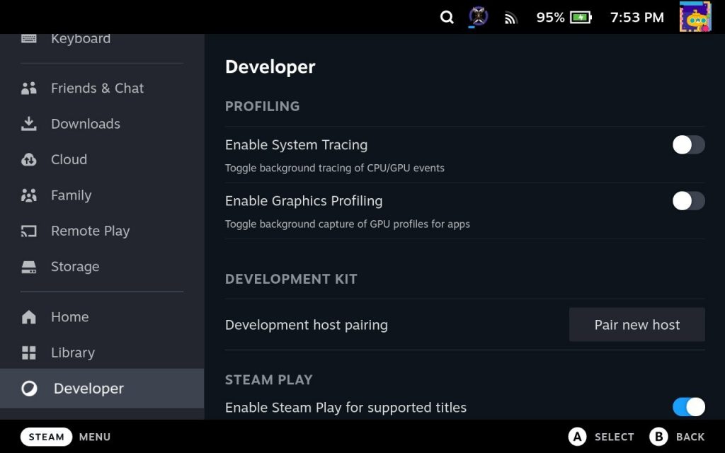 screenshot of the developer menu in the steam deck settings